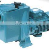 Aqua ATS Metal Pool Pump thumbnail-1