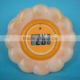 Room and Bath Thermometer