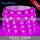 SMD5050 Pink 12V LED Waterproof Strip Light