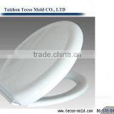 Plastic Mould ,plastic Toilet Seat Cover Mould thumbnail-1