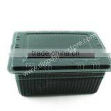 Disposable Food Container thumbnail-5
