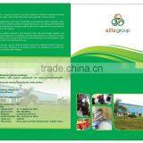 Elitegroup Viet Nam Joint Stock Company company overview - view 2 thumbnail
