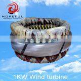 1kw Strong Wind Resistance and High Survival Wind Speed Wind Turbine for Sale thumbnail-5