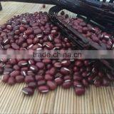 Chinese Adzuki Beans for Europ thumbnail-1