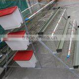 Best Price 96 Chickens Cage Chicken Cage Factory in China thumbnail-1