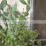 Flower Sticks thumbnail-2