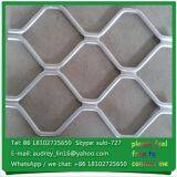 Cheap Wire Fence Security Beautiful Grid Mesh for Residentail
