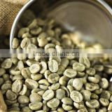 VIETNAM ROBUSTA COFFEE S16 GRADE 1 (Mobile: 0084965152844)