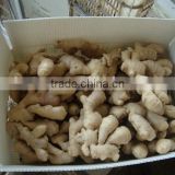 PVC boxes packed dried ginger export prices