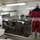 Grade A Quick IQF Strawberry Whole thumbnail-3