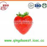 For Sale Chinese High Quality Fresh Strawberry thumbnail-2