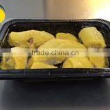 Frozen Durian thumbnail-1
