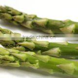 Frozen Asparagus, IQF Asparagus thumbnail-4