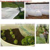 PP Spunbond Non-woven Fabric for Agriculture Cover 40-100gsm