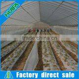 Large Size Greenhouse Plastic Film,Solar Agricultural Greenhouses Type thumbnail-4