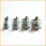 Factory Sales One Spot Point Welding Screw thumbnail-4