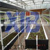 Greenhouse for Flower Cultivation thumbnail-1