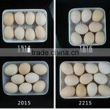 PP Food Grade Plastic Tray for Fresh Vegetable Packaging Wholesale thumbnail-4