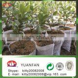 Hot Sell 2016 Eco-friendly 100%pp Spunbond Nonwoven Fabric for Agriculturel / Garden