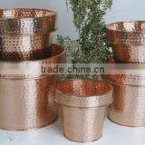 Planters thumbnail-1