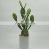 SJ3001107Ornamental Artificial Green Cactus Plants thumbnail-1