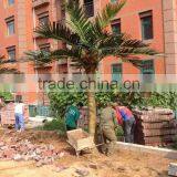 Artificial Palm Tree for Decoration China Fake Garden Fiberglass Tree Decor thumbnail-5