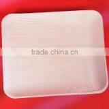 Biodegradable Tableware thumbnail-1