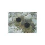 Negative Ion Health Soap With Different Colors thumbnail-1