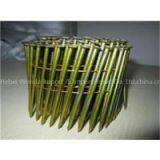 Pallet Coil Nail thumbnail-1