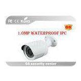 Metal H.264 Megapixel IP Camera P2P , Video Security Camera System thumbnail-1