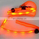 2017 Newest Led Dog Leashes With Collar Lanyards