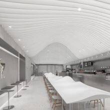 Snyder company overview - view 2 thumbnail