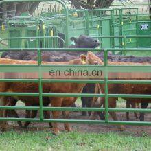 Wholesale Powder Coated Farm Horse Fence thumbnail-4