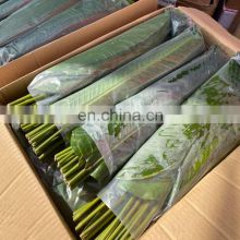 Frozen Dong Leaves High Quality WHOLESALE PRICE From VIETNAM