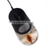 2016 Latest Computer Mouse With Real Insect Scorpion thumbnail-1