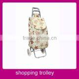 Hand Elderly Shopping Cart