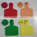 Barcode Cattle Ear Tag,laser Ear Tag,female Tag 75*60mm thumbnail-6