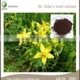 China Wholesale St.John's Wort Extract in Bulk thumbnail-1