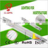 DE 1000W HPS Grow Light