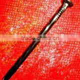 Philippines BWG9 Factory Twist Umbrella Roofing Nail thumbnail-1