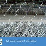 Cheap Price High Quality Fence Mesh Chicken Wire Mesh thumbnail-6