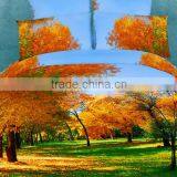 Luxury Combed Cotton Reactive Printed 40s 133*72 Bed Cover Sheet Pillow 4pcs 3d Home Textile