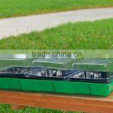 PP Propagator