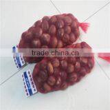 Frozen Chestnut From the Factory thumbnail-1