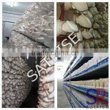 High Quality Plastic Serving Tray For Mushroom Growing thumbnail-5