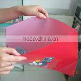 Custom Made File Folder(file Bag), Transparent, Custom Design Printing, With Strings