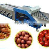 THOYU Brand Stainless Steel Dates Fruit Grading Machine by Size(0086 15937167907) thumbnail-2