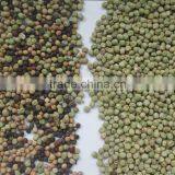 Excellent Quality CCD Grains Color Sorter Beans Color Sorter thumbnail-4