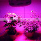 2017 Professional High Lumen Led Grow Light Growth Taller and Stronger Full Spectrum 300W UFO LED Grow Light thumbnail-6