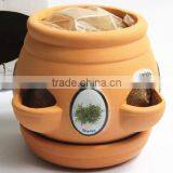 Stock Terracotta Herb Pot thumbnail-1